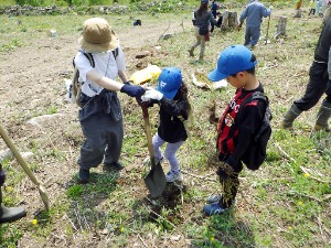 親子3人で植樹