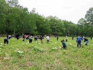 みんなで植樹祭