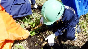 児童が植樹している様子