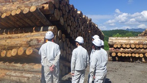 土場を見学