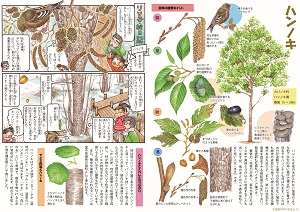 13_北海道の木のえほん_ハンノキ