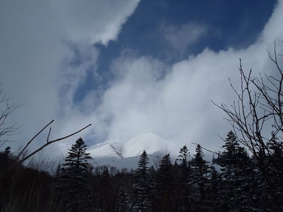 雲間に覗く利尻山