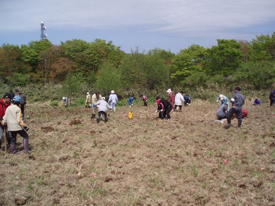 植樹祭