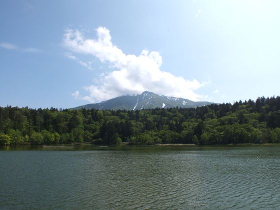姫沼から見た利尻山