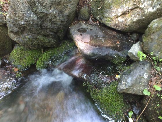 迸る湧水