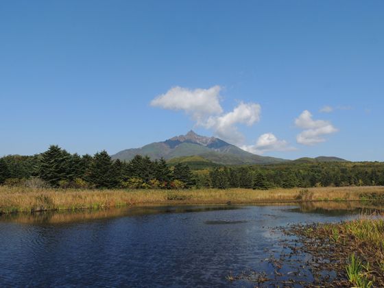 南浜湿原からみた利尻山