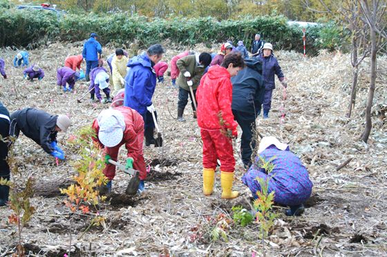 植樹活動