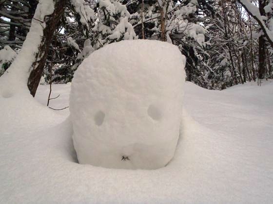 雪ぼうず