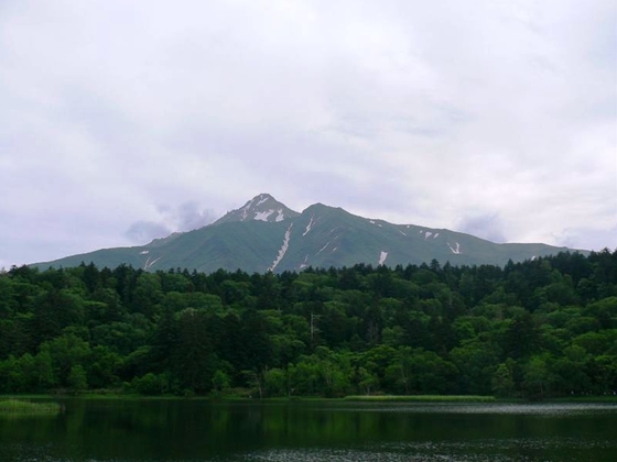 鴛泊側から見た利尻山