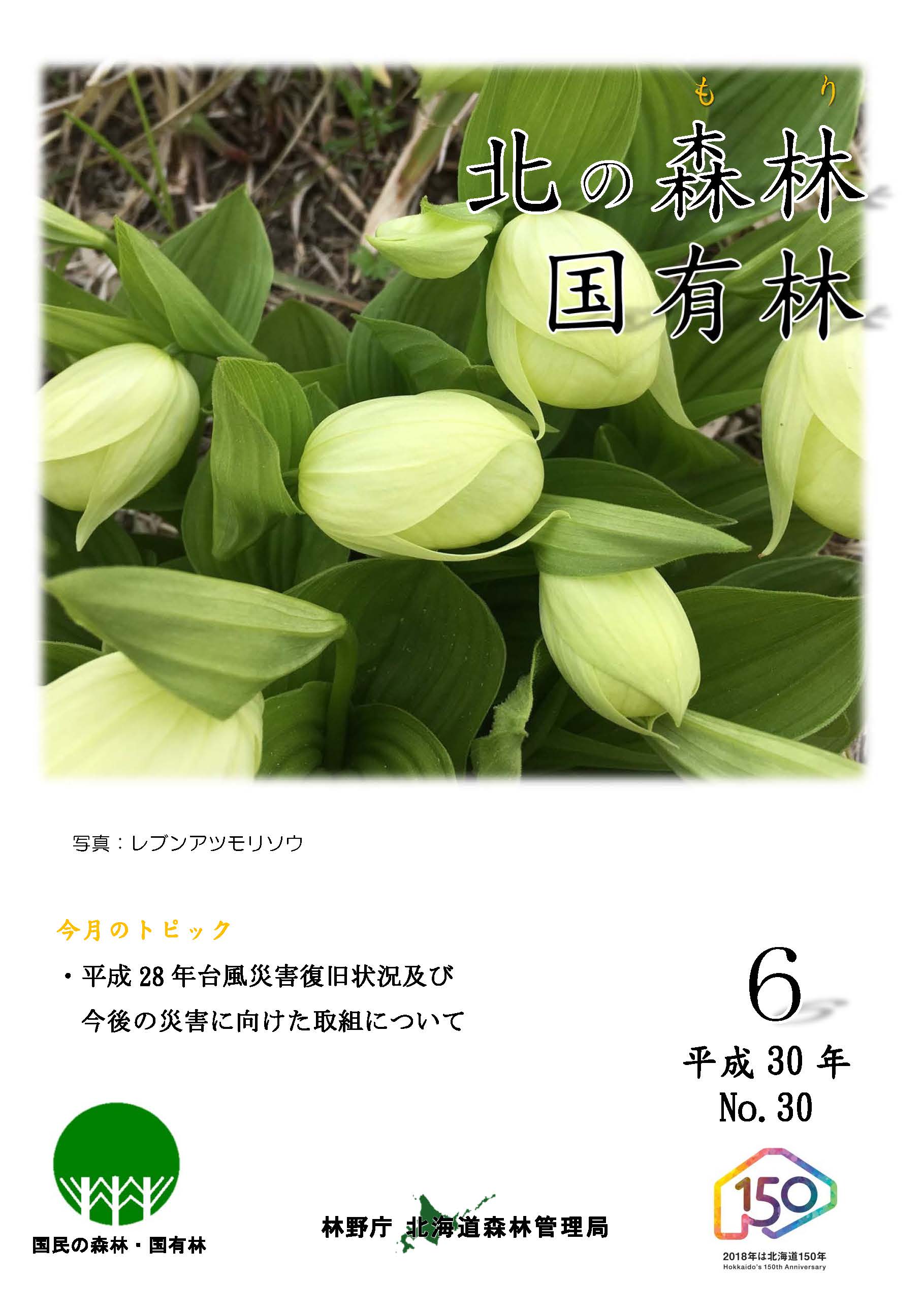 6月号表紙