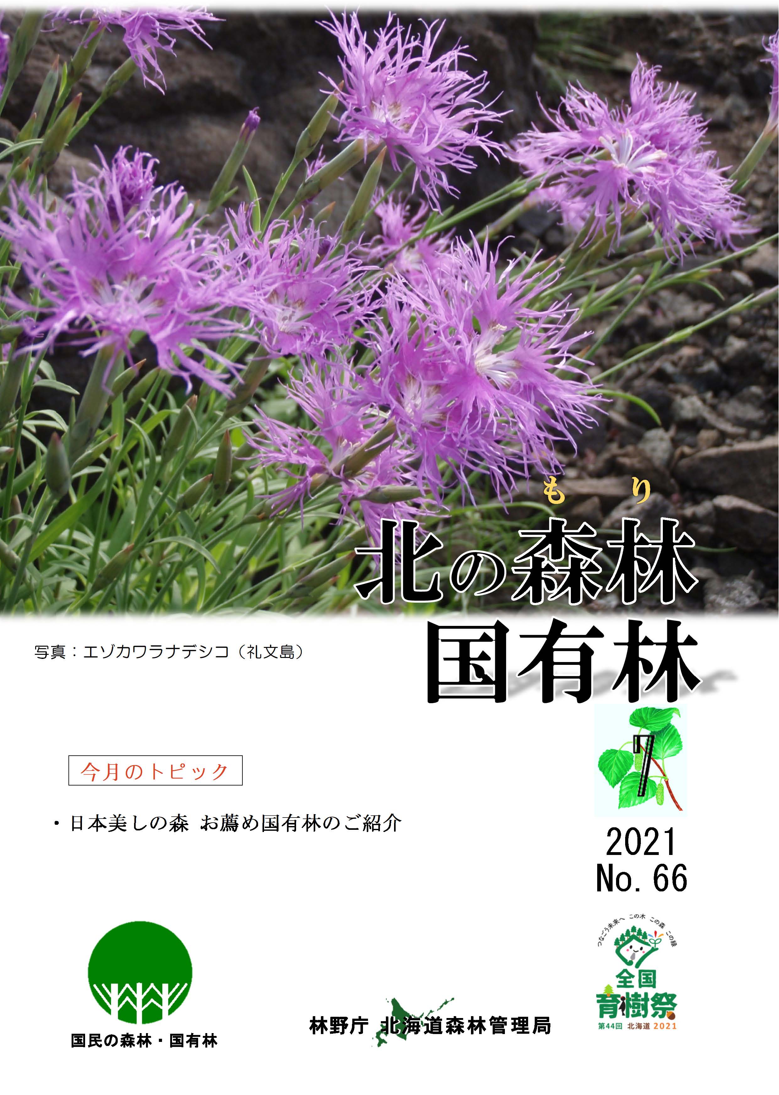 表紙７月号