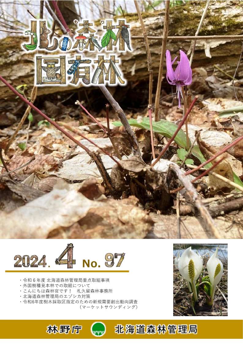 広報誌4月号