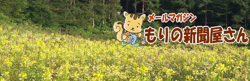 メルマガ森の新聞屋さん