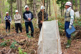 昨年植栽した箇所と今年の植樹予定箇所の見学の様子