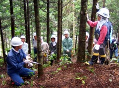 職員による間伐指導