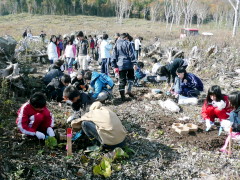 カミネッコンを植えたよ!