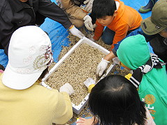 育苗体験「森のタネをまこう」1