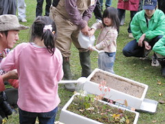 実験観察「森の役割」1