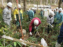 カミネッコン植樹と食害防止シートの取り付け作業です
