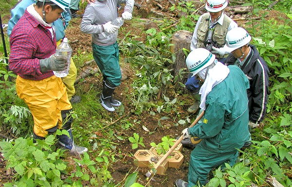 社員のみなさんが植樹作業