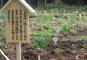 お手播き案内板
