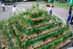 みなさんが植えた苗木の山