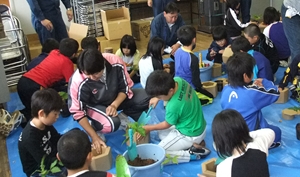 苗木を移植