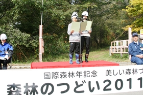 国際森林年宣言