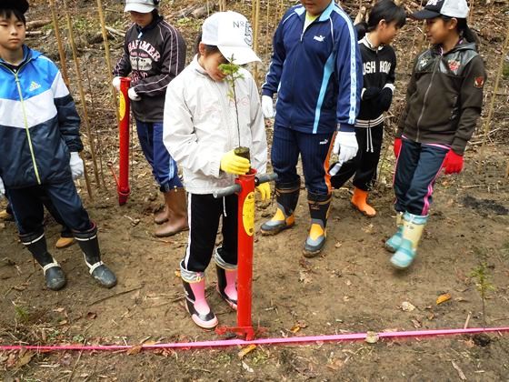 小学児童が植え付け機で植え付け
