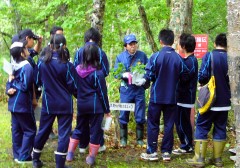 樹木の特徴について解説中