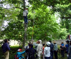 木に登って木の高さを測りました