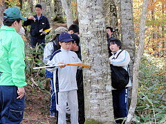 輪尺（木の太さを測る用具）で直径を計ってみよう