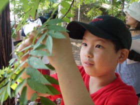 鳥の気持ちになって木の実を探す子どもたち