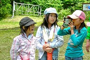 測高器で樹高測定