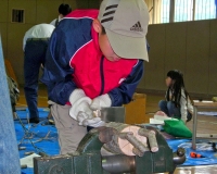 万力で固定してのこぎり中