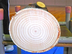 この木は何の木?きれいな年輪、年はいくつ?