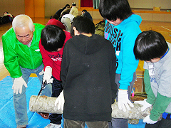 太い丸太に挑戦 !切れるかな?