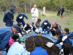 苗木の入れ方説明