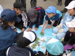 木の葉かるたとりゲーム
