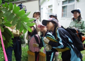 樹木観察会
