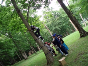 木登り体験