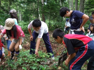 去年自分が植えた苗はどれかな？