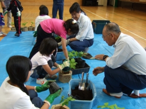 6月のポット苗木づくり