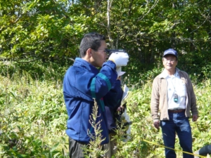 ブルーメライス測高器