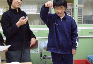 トドマツの種はクルクル回りながら落ちます