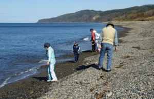 海岸でメノウ探し