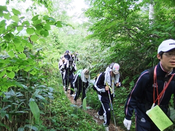 登山道を歩く
