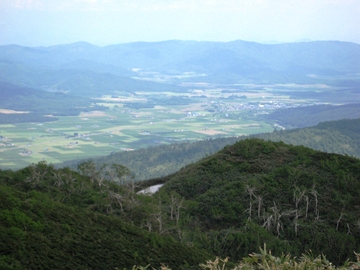 山頂からの景色