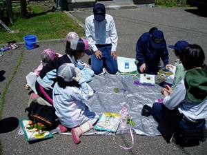 観察会のふりかえり