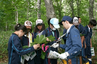 樹木の特徴について解説中